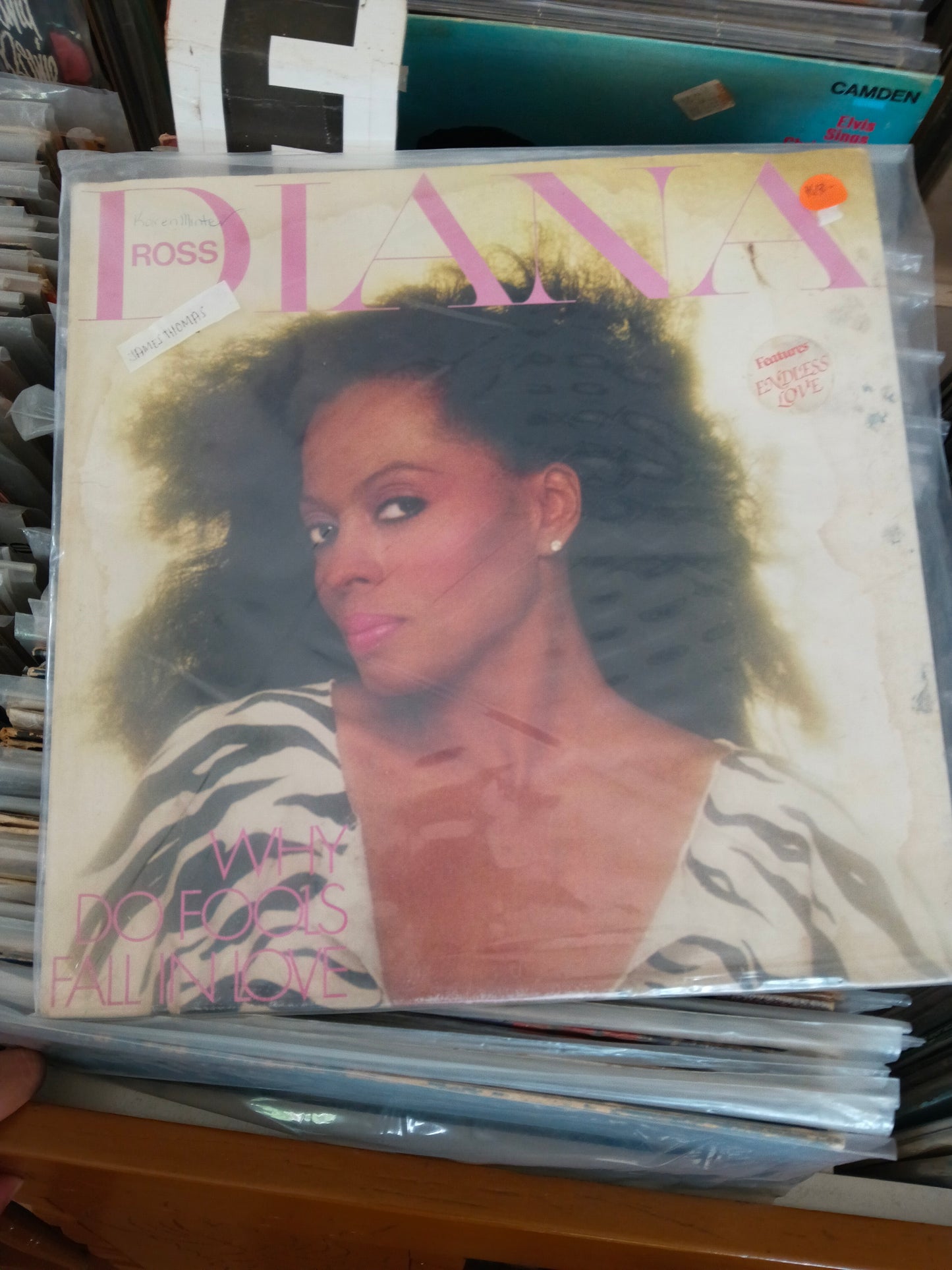 Diana Ross – Why Do Fools Fall In Love